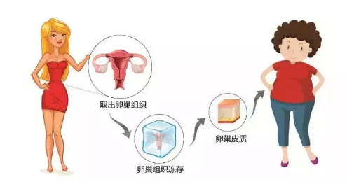 “卵巢组织冻存移植技术”亮相2018 年全国科技活